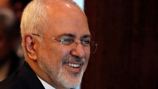وزير الخارجية الإيراني، محمد جواد ظريف - سبوتنيك عربي
