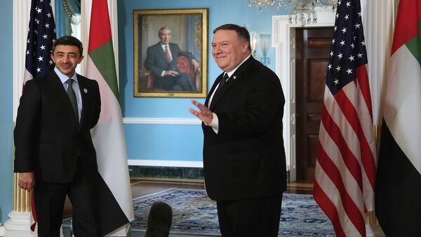 وزيري الخارجية الأمريكي والإماراتي في واشنطن - سبوتنيك عربي
