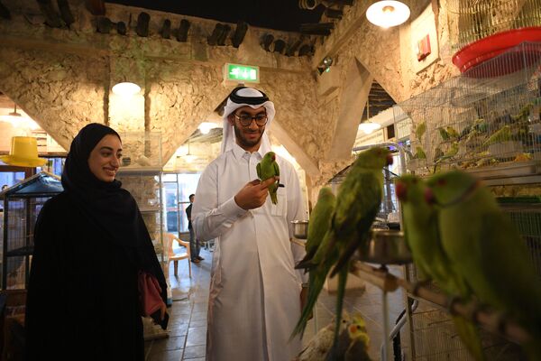 زوار في متجر للحيوانات الأليفة في سوق واقف في مدينة الدوحة، قطر - سبوتنيك عربي
