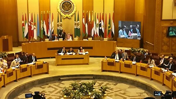 اجتماع وزراء الخارجية العرب - سبوتنيك عربي