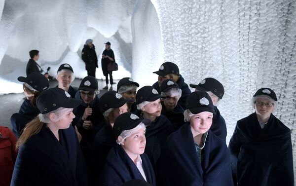 زوار وتلاميذ يزورون الكهف الجليدي في حديقة زارياديا بجوار الكرملين في موسكو - سبوتنيك عربي