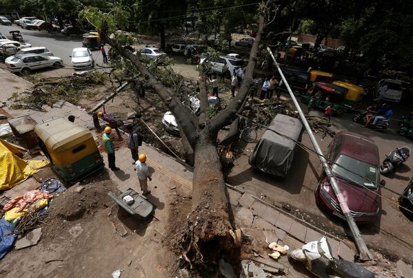 عمال البلدية يقطعون فروع الأشجار المقتلعة بعد العاصفة الترابية ليلة الثلاثاء الماضي في نيودلهي، الهند 16 مايو/ أيار 2018 - سبوتنيك عربي