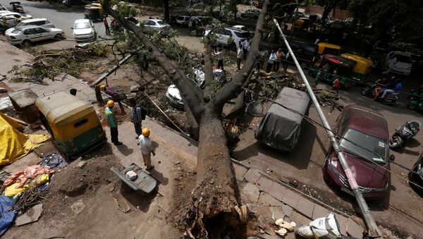 عمال البلدية يقطعون فروع الأشجار المقتلعة بعد العاصفة الترابية ليلة الثلاثاء الماضي في نيودلهي، الهند 16 مايو/ أيار 2018 - سبوتنيك عربي