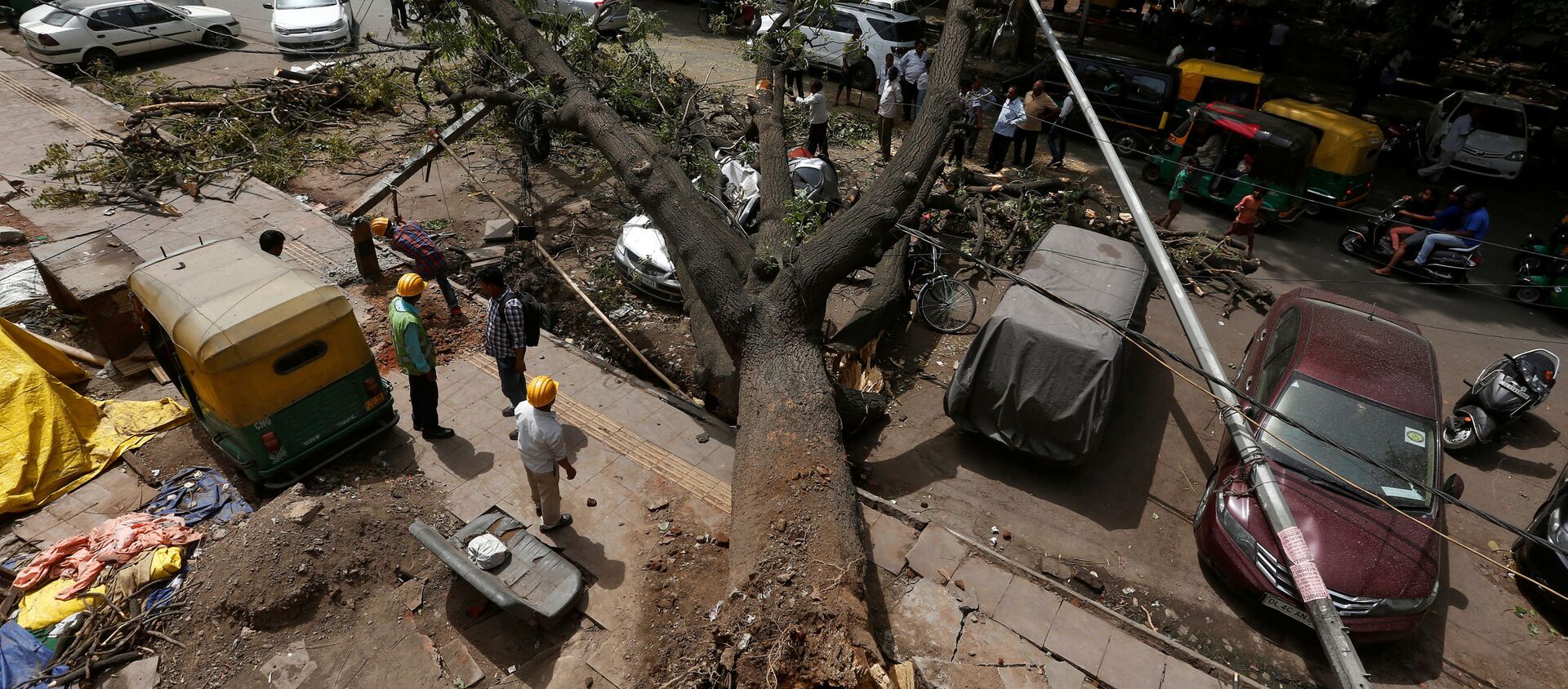 عمال البلدية يقطعون فروع الأشجار المقتلعة بعد العاصفة الترابية ليلة الثلاثاء الماضي في نيودلهي، الهند 16 مايو/ أيار 2018 - سبوتنيك عربي, 1920, 08.07.2019