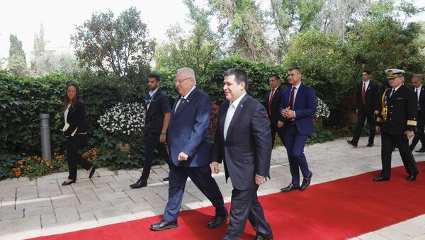 رئيس باراغواي هوراشيو كارتيس يسير بجوار الرئيس الإسرائيلي روفين ريفلين لدى وصوله لعقد اجتماع في مقر إقامته في القدس، قبيل مراسم تكريس سفارة باراغواي في القدس، 21 مايو/أيار 2018 - سبوتنيك عربي