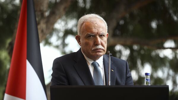  وزير الخارجية الفلسطيني رياض المالكي خلال مؤتمر صحفي في أنطاليا، تركيا، 3 فبراير/ شباط 2018 - سبوتنيك عربي