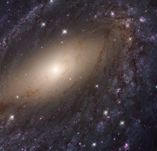 المجرة NGC 6744 في كوكبة الطاووس - سبوتنيك عربي