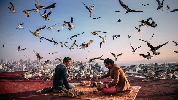 التاريخ على طريق الإفطار، للمصور سيبنيم كوسكون من تركيا - سبوتنيك عربي