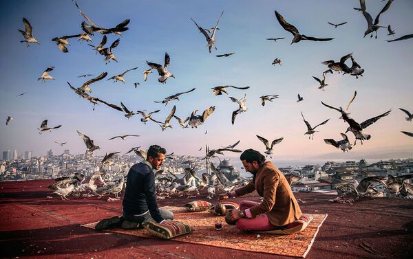 التاريخ على طريق الإفطار، للمصور سيبنيم كوسكون من تركيا - سبوتنيك عربي