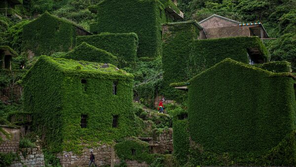 منازل مهجورة مغطاة بالنباتات الكثيفة في قرية هوتاون على جزيرة شينغشان بإقليم تشيجيانغ الشرقي الصيني، 31 مايو/ أيار 2018 - سبوتنيك عربي