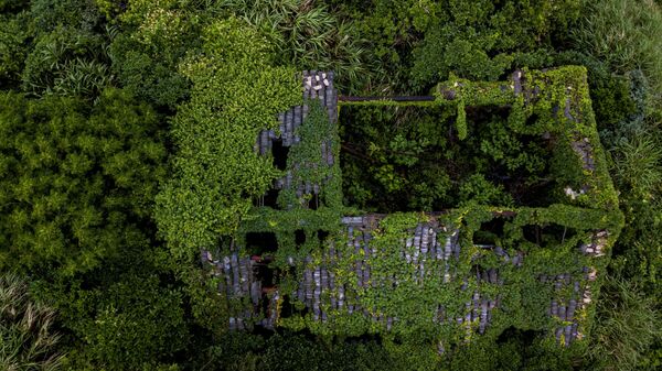 منازل مهجورة مغطاة بالنباتات الكثيفة في قرية هوتوان على جزيرة شينغشان بإقليم تشيجيانغ الشرقي الصيني، 31 مايو/ أيار 2018 - سبوتنيك عربي