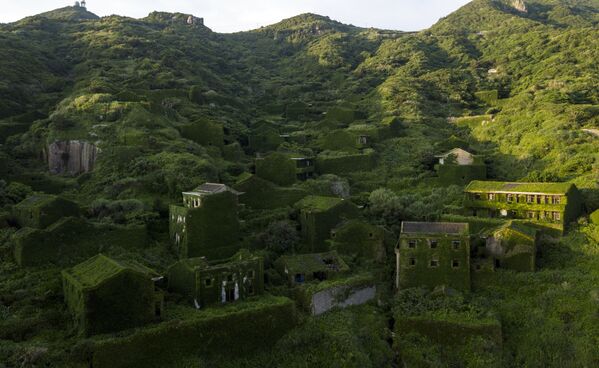 منازل مهجورة مغطاة بالنباتات الكثيفة في قرية هوتوان في جزيرة شينغشان بإقليم تشيجيانغ شرقي الصين، 1 يونيو/ حزيران 2018 - سبوتنيك عربي