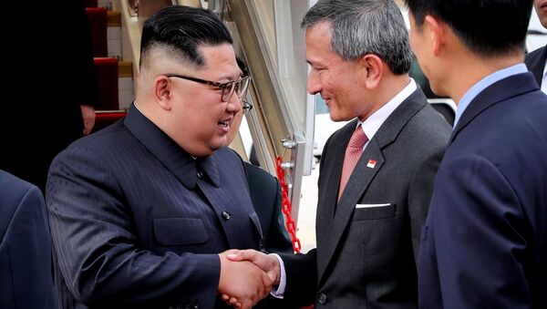 وزير خارجية سنغافورة يلتقي زعيم كوريا الشمالية كيم بيونغ - سبوتنيك عربي