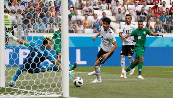 مباراة مصر والسعودية في بطولة كأس العالم في روسيا، 25 يونيو/حزيران 2018 - سبوتنيك عربي