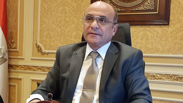 وزير الشؤون البرلمانية، المستشار عمر مروان - سبوتنيك عربي
