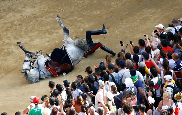 سقوط أحد أفراد شرطة كارابينييري الإيطالية من على حصانه أثناء العرض قبل بدء سباق باليو سيينا، إيطاليا 2 يوليو/ تموز  2018 - سبوتنيك عربي