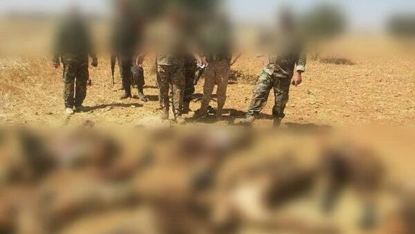 قتلى إرهابيين بعد عبورهم حقلا للألغام زرعه الجيش السوري - سبوتنيك عربي