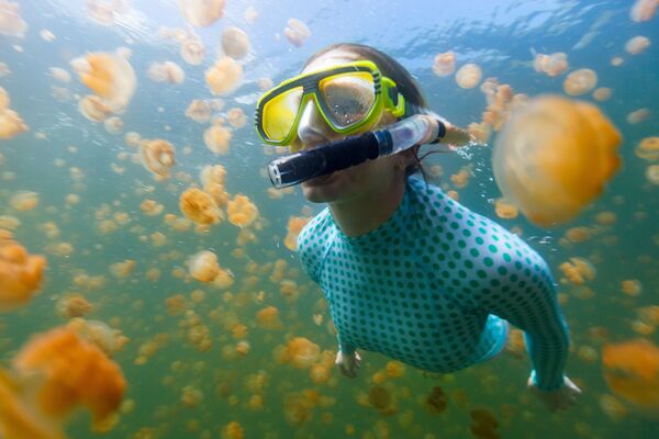 صورة تحت الماء لامرأة غطاسة مع قناديل البحر الذهبية في بحيرة في بالاو. - سبوتنيك عربي
