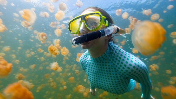 صورة تحت الماء لامرأة غطاسة مع قناديل البحر الذهبية في بحيرة في بالاو. - سبوتنيك عربي