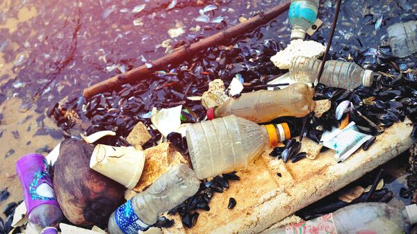 تلوث البيئة ببقايا البلاستيك - سبوتنيك عربي