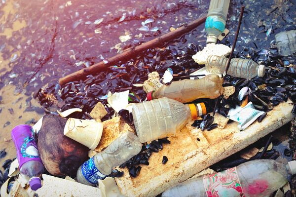 تلوث البيئة ببقايا البلاستيك - سبوتنيك عربي