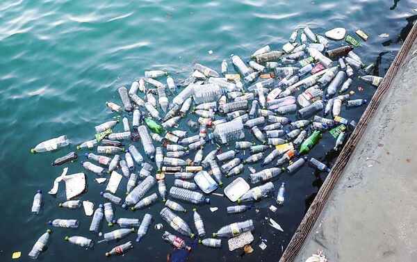 الزجاجات البلاستيكية في الماء - سبوتنيك عربي