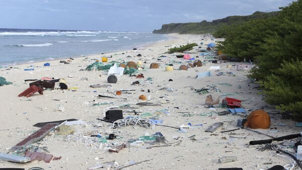 القمامة على ساحل جزيرة هندرسون في المحيط الهادئ - سبوتنيك عربي