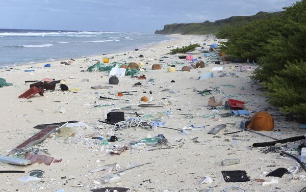 القمامة على ساحل جزيرة هندرسون في المحيط الهادئ - سبوتنيك عربي