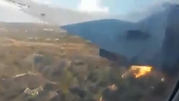 راكب يصور تحطم الطائرة من الداخل وبقي على قيد الحياة - سبوتنيك عربي