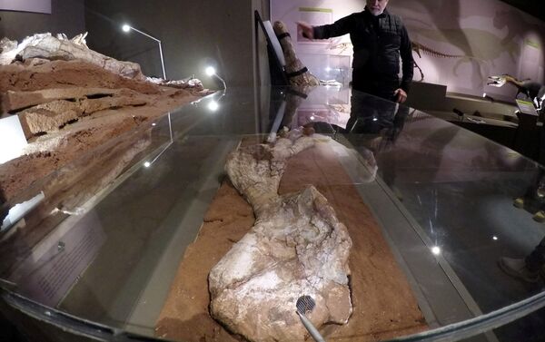 اكتشاف أحفوري يغير النظرة حول الديناصورات العملاقة - سبوتنيك عربي