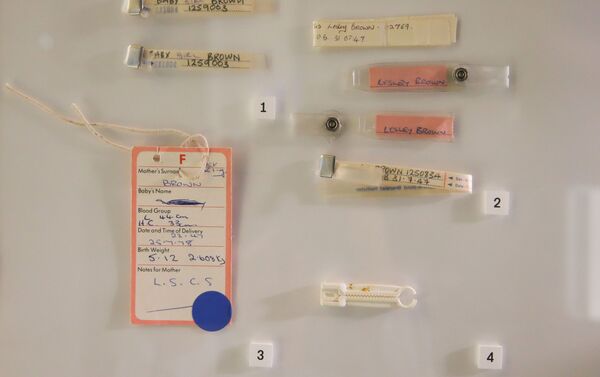 أنابيب أول إنسان ولد بعد الحمل عن طريق الإخصاب في المختبر أو التلقيح الاصطناعي - سبوتنيك عربي