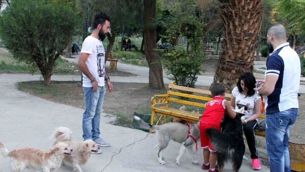 من الأرياف إلى حدائق دمشق... تربية الكلاب تنتشر في زمن الحرب - سبوتنيك عربي