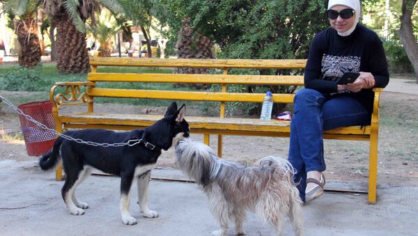من الأرياف إلى حدائق دمشق… تربية الكلاب تنتشر في زمن الحرب - سبوتنيك عربي