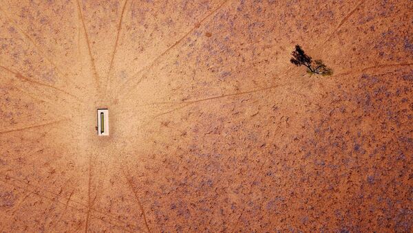 شجرة وحيدة تقف بالقرب من حوض مائي في مزرعة جيمي آند ماكاون التي جفت، وتقع على مشارف بلدة والجيت في منطقة نيو ساوث ويلز، أستراليا، 20 يوليو/ تموز 2018 - سبوتنيك عربي