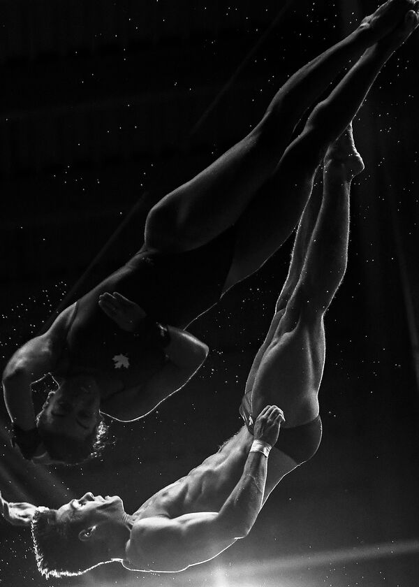 صورة بعنوان قفزة، للمصور ماكسيم بوغودفيد، الحاصلة على المركز الثاني في فئة الرياضة، في مسابقة التصوير لشركة Nikon - سبوتنيك عربي