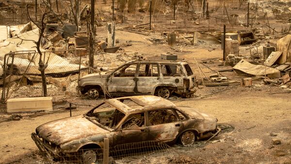 آثار ناجمة عن حريق هائل في كاليفورنيا، الولايات المتحدة 7 أغسطس/ آب 2018 - سبوتنيك عربي