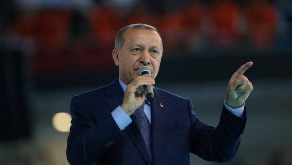 الرئيس رجب طيب أردوغان، تركيا 4 أغسطس/ آب 2018 - سبوتنيك عربي