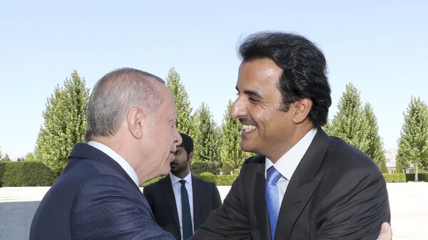 أمير قطر الشيخ تميم آل ثاني مع رئيس تركيا رجب طيب أردوغان - سبوتنيك عربي