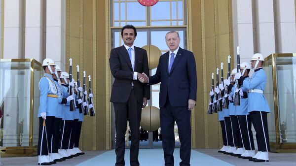 أمير قطر الشيخ تميم آل ثاني ورئيس تركيا رجب طيب أردوغان - سبوتنيك عربي