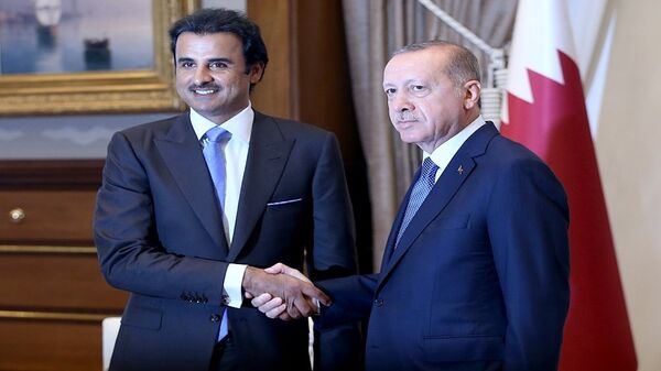 أمير قطر الشيخ تميم بن حمد والرئيس التركي رجب طيب أردوغان - سبوتنيك عربي