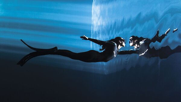صورة للمصور كريستيان فيزل، الذي فاز بالمركز الثالث في فئة مفهوم لمجلة الصور تحت الماء لعام 2018 - سبوتنيك عربي