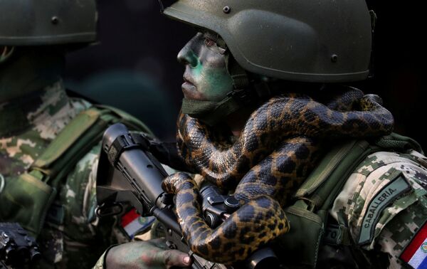 جندي من قوات براغواي الخاصة خلال عرض عسكري في أسونسيون، باراغواي   15 أغسطس/ آب 2018 - سبوتنيك عربي