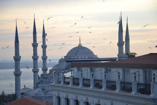 مسجد السلطان أحمد (أو المسجد الأزرق) في اسطنبول، تركيا - سبوتنيك عربي