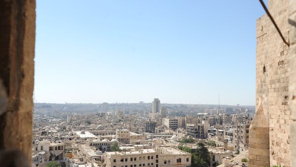 مشهد يطل على مدينة حلب - سبوتنيك عربي