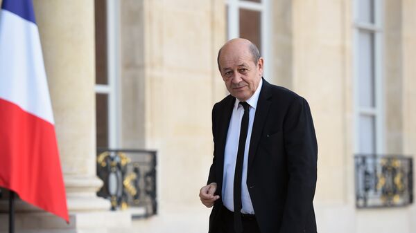 وزير الخارجية الفرنسي جان إيف لودريان - سبوتنيك عربي