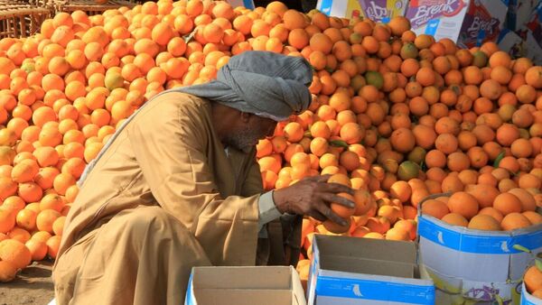 سوق الفاكهة في مصر - سبوتنيك عربي