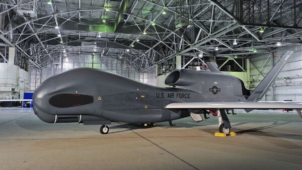  RQ-4 Global Hawk طائرة تجسس أمريكية - سبوتنيك عربي