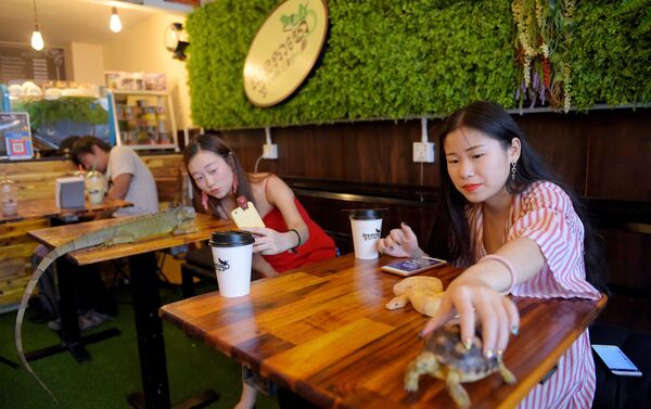 مقهى في كمبوديا يقدم خدمة مميزة مع الشاي و القهوة - سبوتنيك عربي