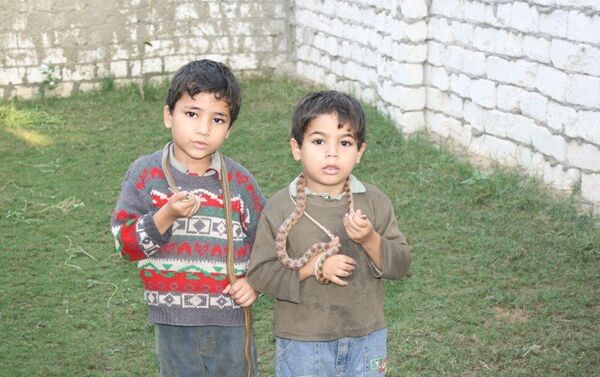 أطفال قرية مصرية يمكسون بالثعابين - سبوتنيك عربي