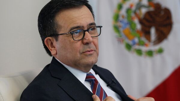 Ildefonso Guajardo, el secretario de Economía de México - سبوتنيك عربي